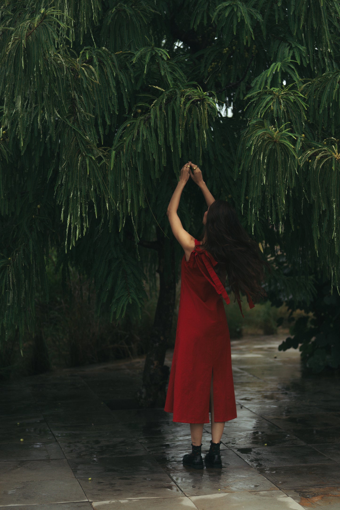 Celeste Dress Red